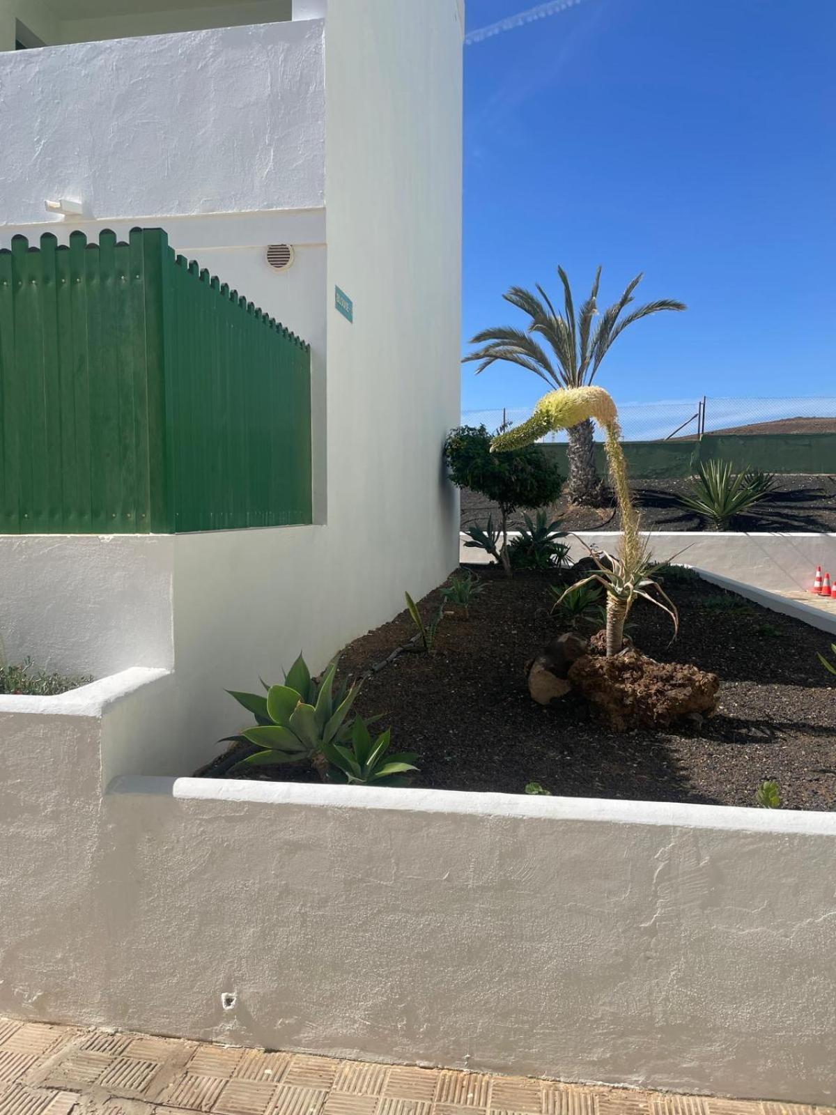 Fuertesun Dunas Beach Parque Holandes المظهر الخارجي الصورة